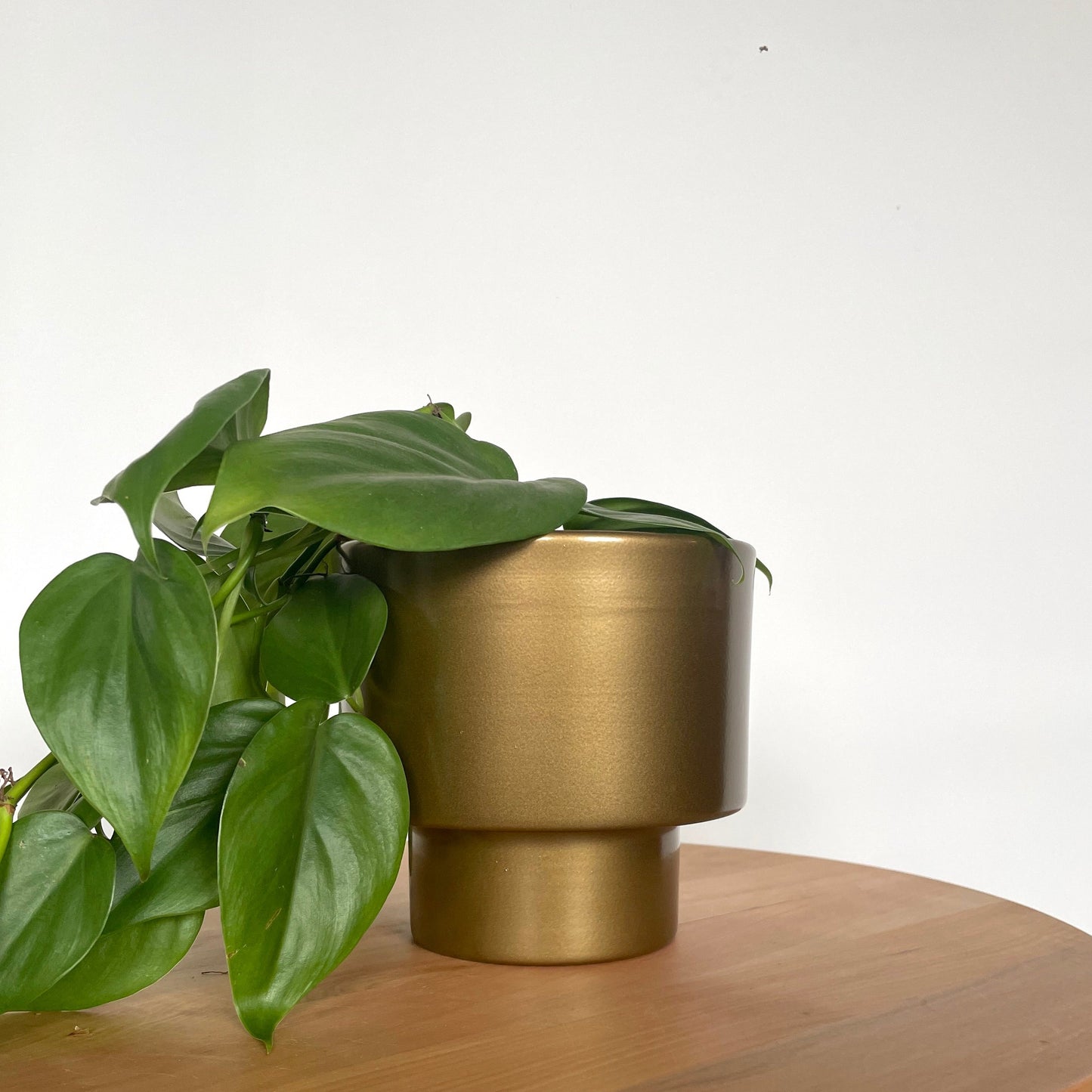 Macetero metálico KUP 16cms DORADO