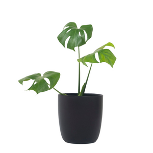 Macetero metálico aluminio 20cms negro