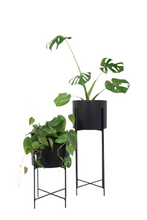 Cargar imagen en el visor de la galería, DUO KRUZA + maceteros metálicos ALUMINIO Ø25cms
