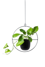 Cargar imagen en el visor de la galería, Colgante de techo negro para plantas
