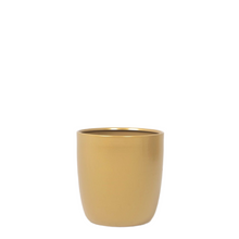Cargar imagen en el visor de la galería, Macetero KRONOS  19cm dorado
