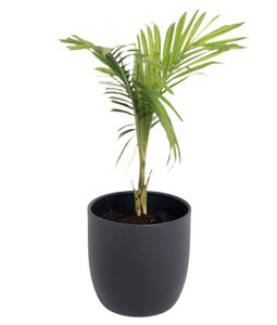 Macetero KRONOS 24cm