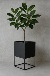 Jardinera Zenit Cubo