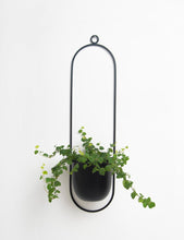 Cargar imagen en el visor de la galería, Mural owal negro + macetero metálico aluminio negro
