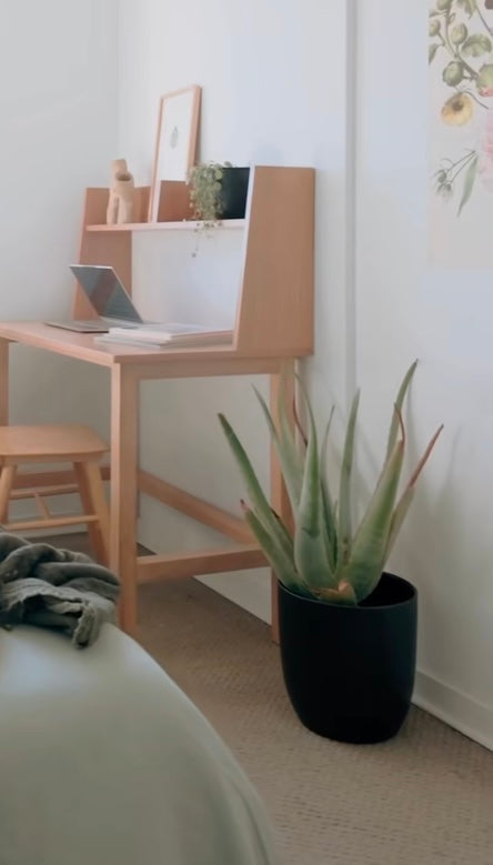 ALOE Vera en macetero metálico de aluminio