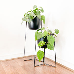 DUO Mercedes 60cms + 40cms  negro con macetero metálico negro