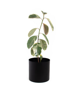 DUO macetero metalico + pedestal Kruza 45cms