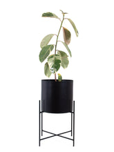 Cargar imagen en el visor de la galería, DUO macetero metalico + pedestal Kruza 45cms
