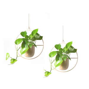 Doble Colgante de techo dorado para plantas