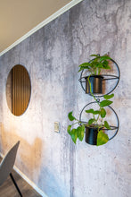 Cargar imagen en el visor de la galería, DOBLE Mural circular negro + macetero metálico aluminio negro
