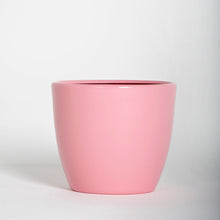 Cargar imagen en el visor de la galería, PACK X 2 Macetero metálico 15cms rosado-verde
