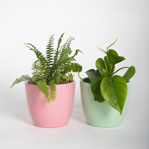 PACK X 2 Macetero metálico 15cms rosado-verde