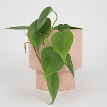 Cargar imagen en el visor de la galería, Macetero metálico KUP 20cms rosa

