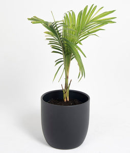Macetero metálico aluminio 24cms negro