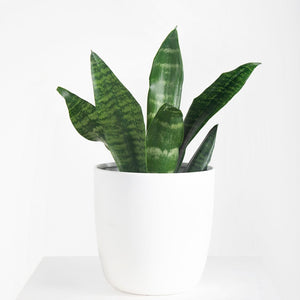 Macetero metálico aluminio 20cms blanco