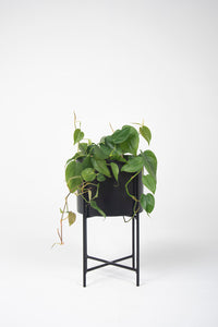 Portaplanta KRUZA 40cms con macetero metálico negro