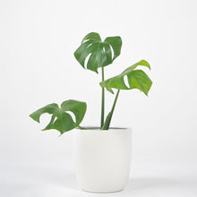 Cargar imagen en el visor de la galería, Macetero metálico aluminio 20cms blanco
