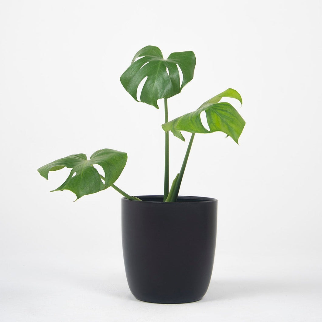 Macetero metálico aluminio 20cms negro