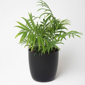 Macetero metálico aluminio 20cms negro